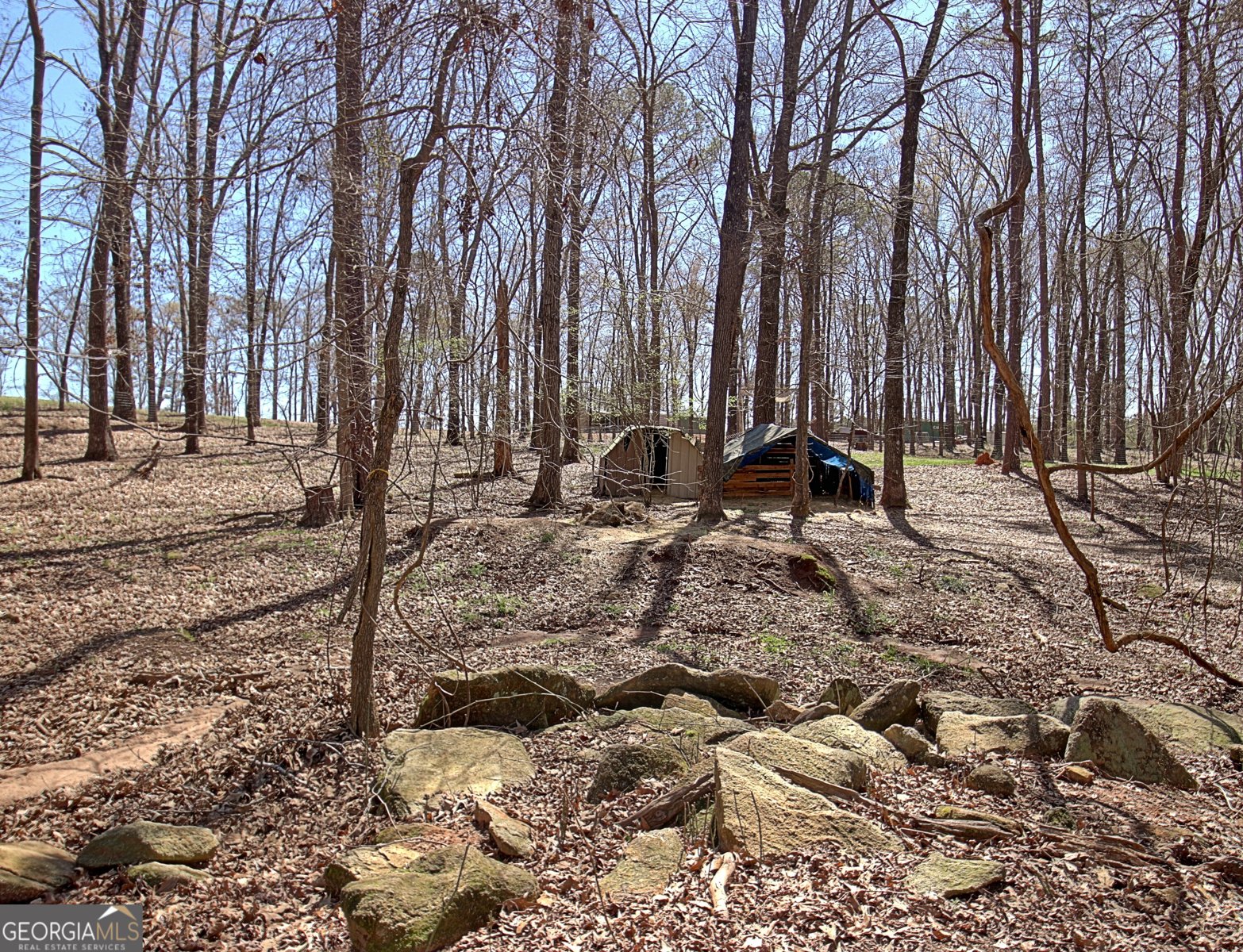 373 Blanton Mill Road Griffin - Photo 49