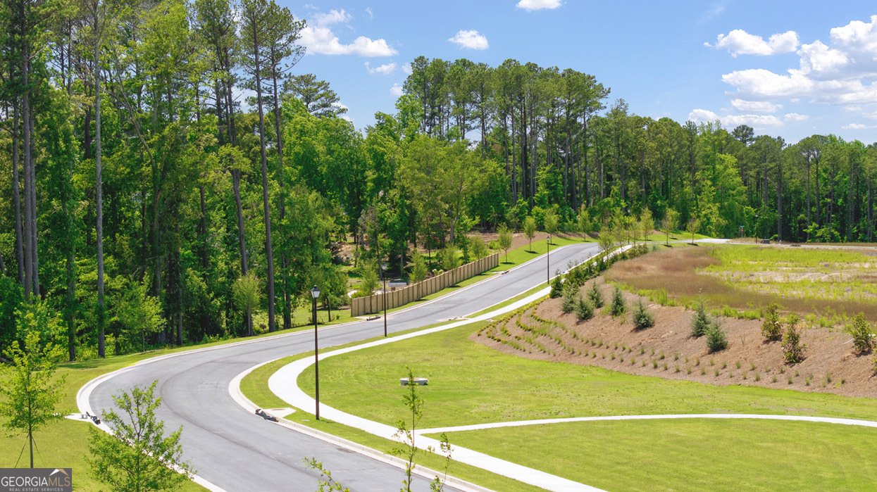 8592 SECRETARIAT Drive Lithonia - Photo 40