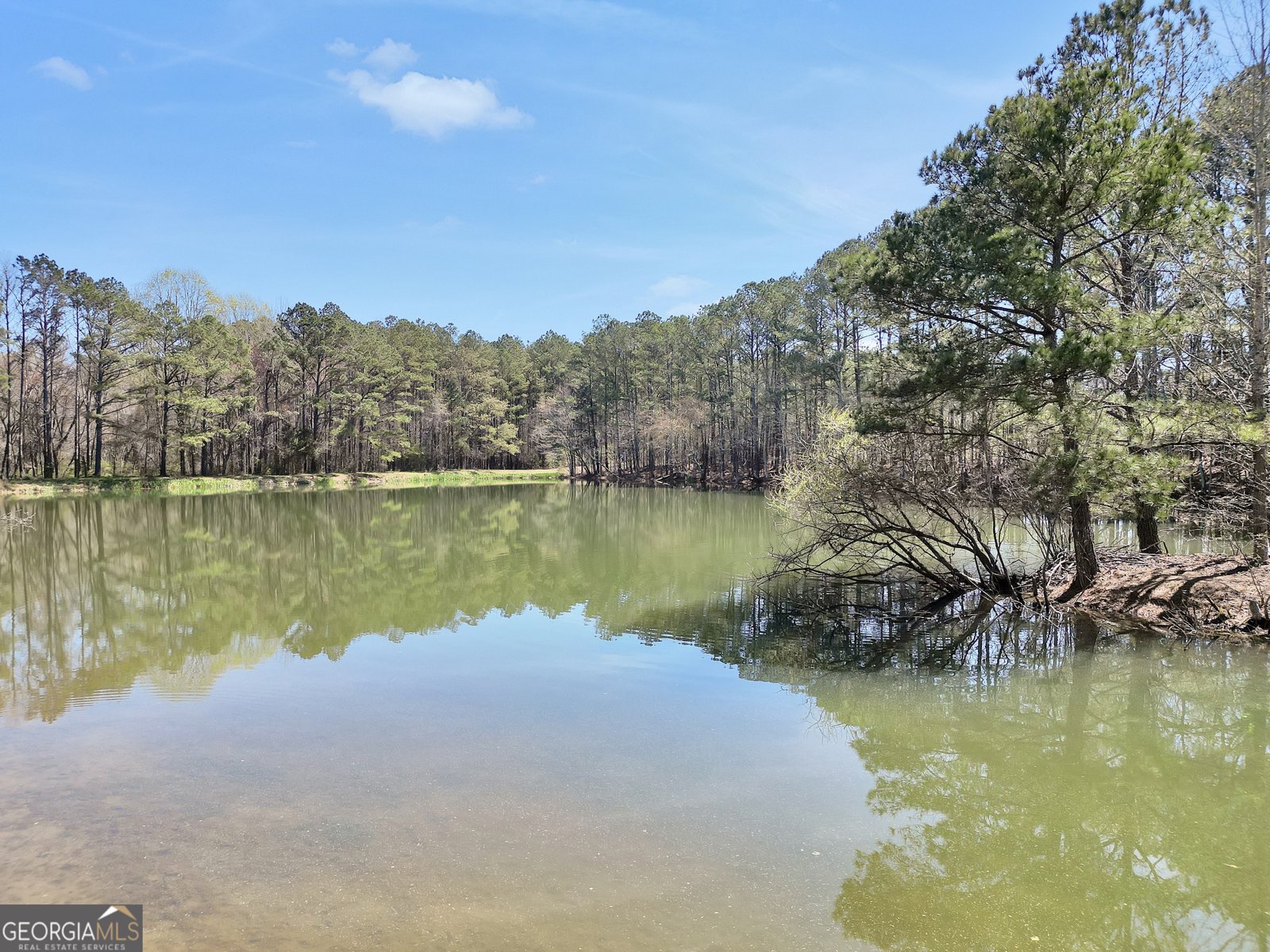 330 Country Kitchen Road Barnesville - Photo 56