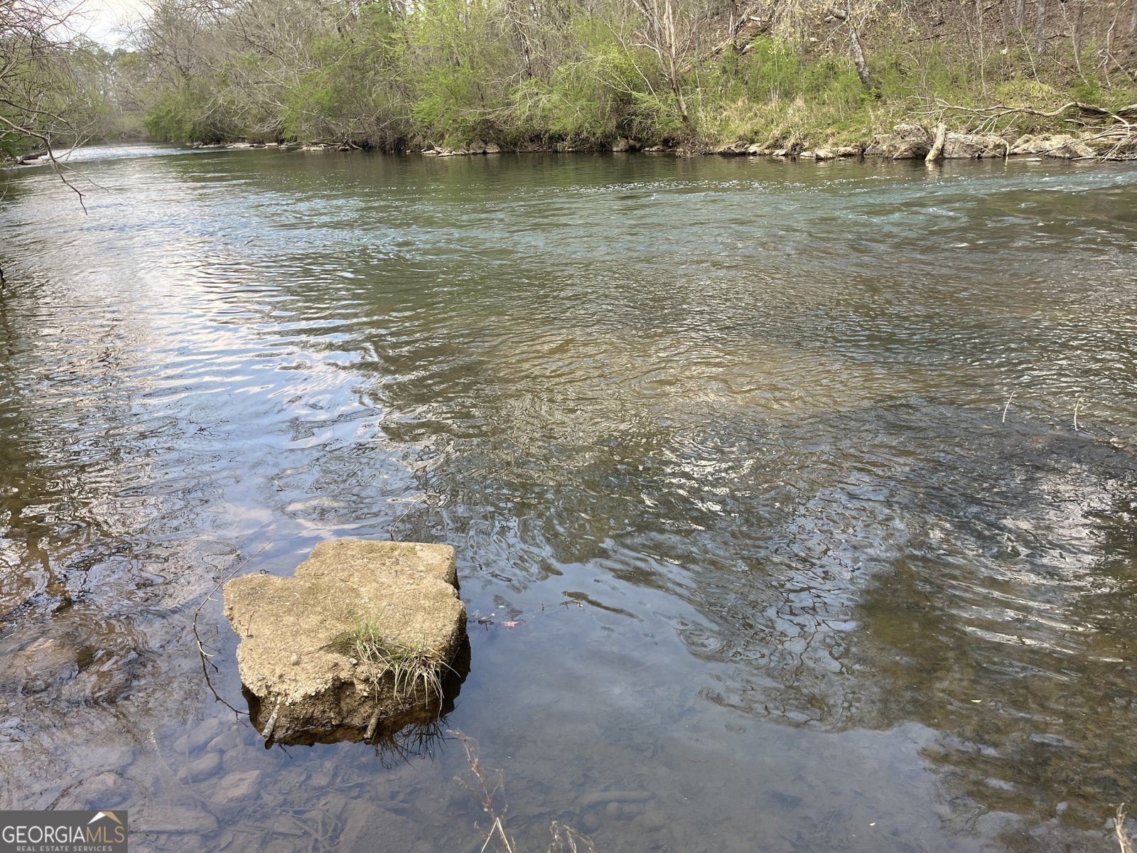 475 Davis Road Cave Spring - Photo 22