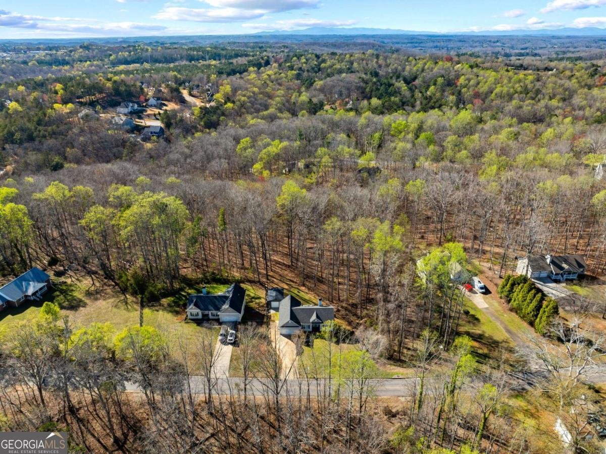 482 Henry Pirkle Drive Dawsonville - Photo 40