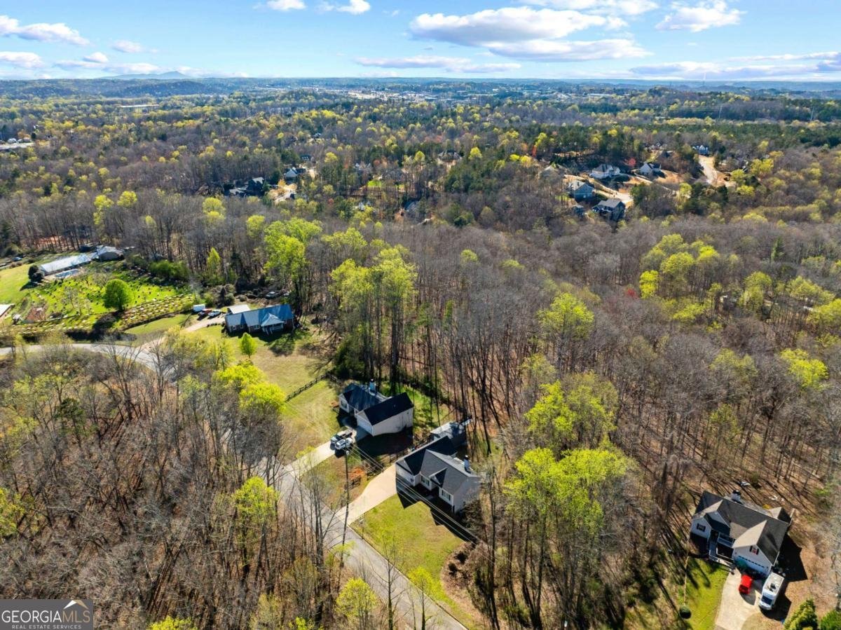 482 Henry Pirkle Drive Dawsonville - Photo 41