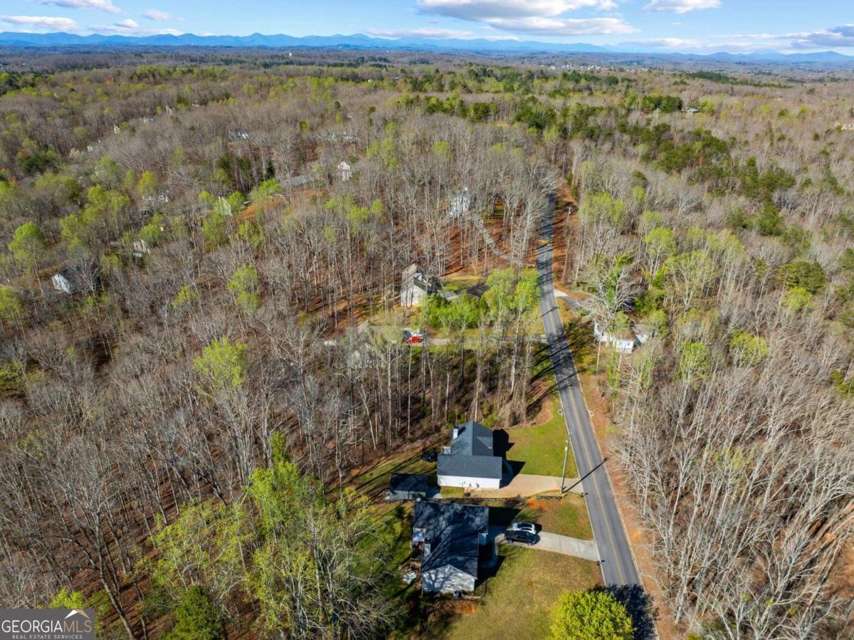 482 Henry Pirkle Drive Dawsonville - Photo 42