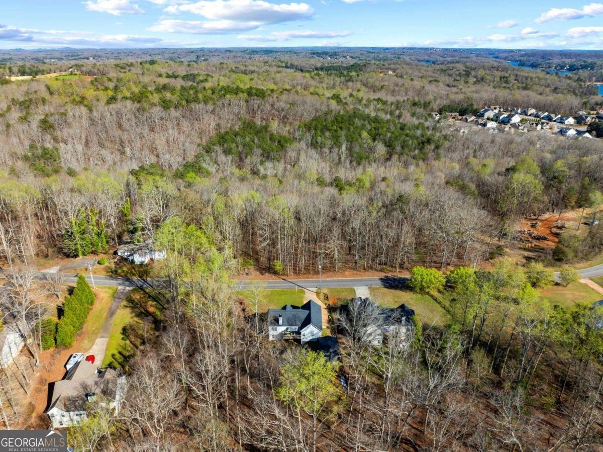 482 Henry Pirkle Drive Dawsonville - Photo 44