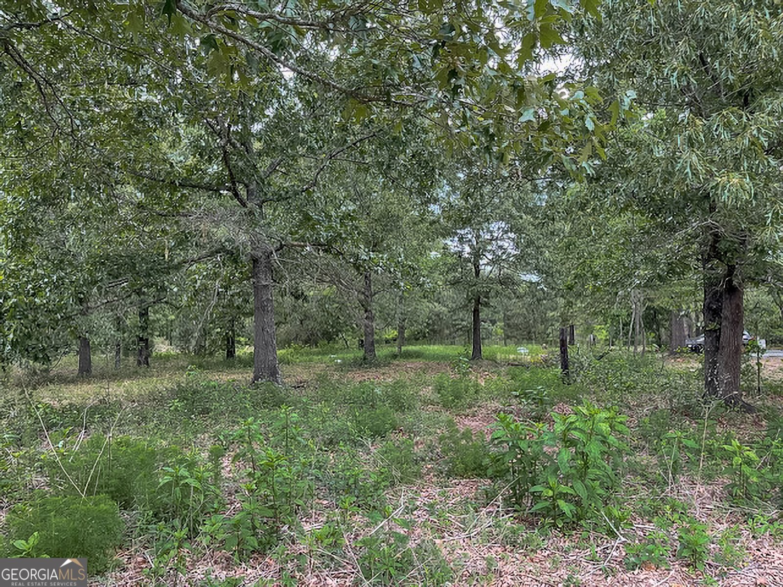 62 Brannon Montgomery Road Mauk - Photo 27