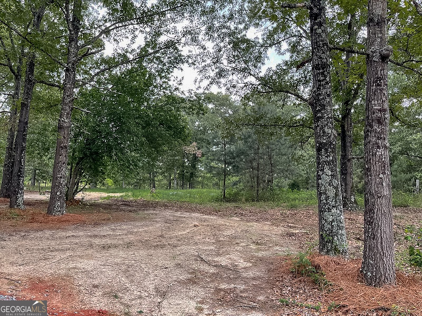 62 Brannon Montgomery Road Mauk - Photo 28