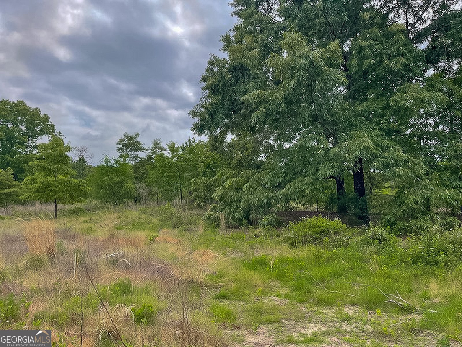 62 Brannon Montgomery Road Mauk - Photo 29