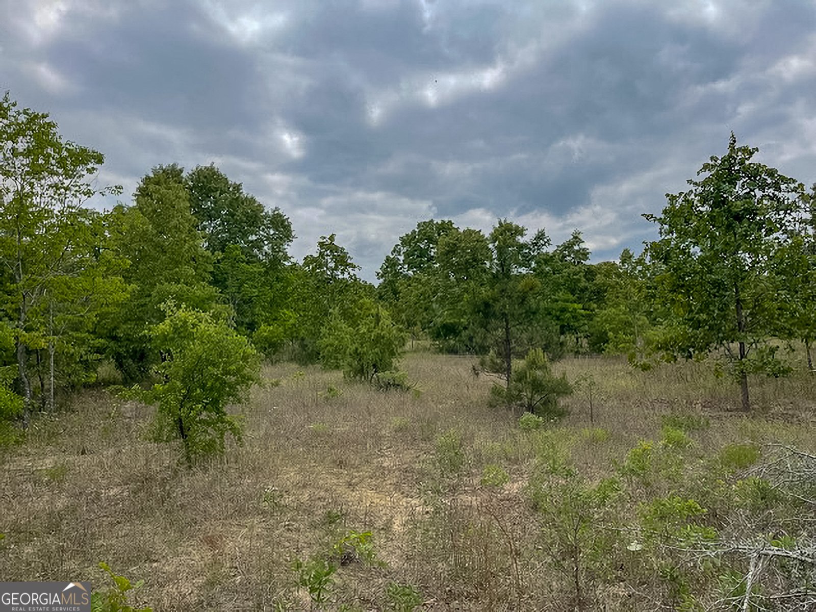 62 Brannon Montgomery Road Mauk - Photo 30