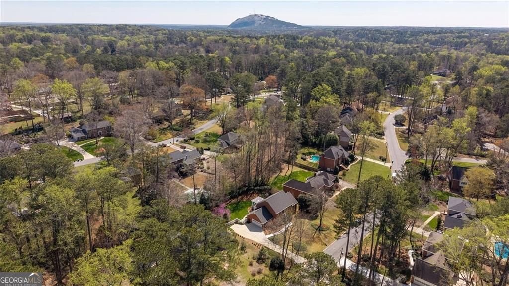 4890 Forestglade Court Smoke Rise - Photo 45