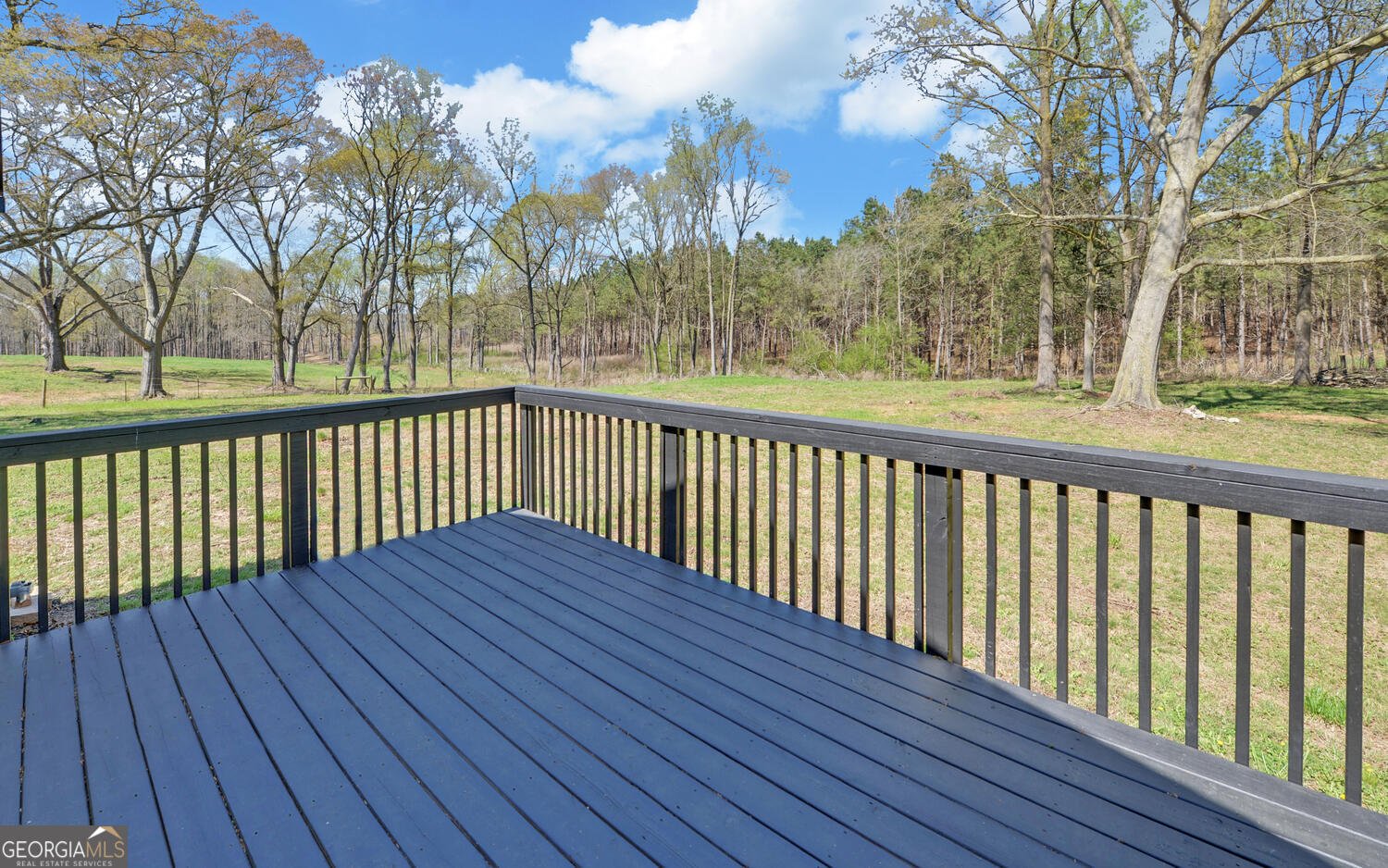 440 Beaver Creek Road Bowman - Photo 41