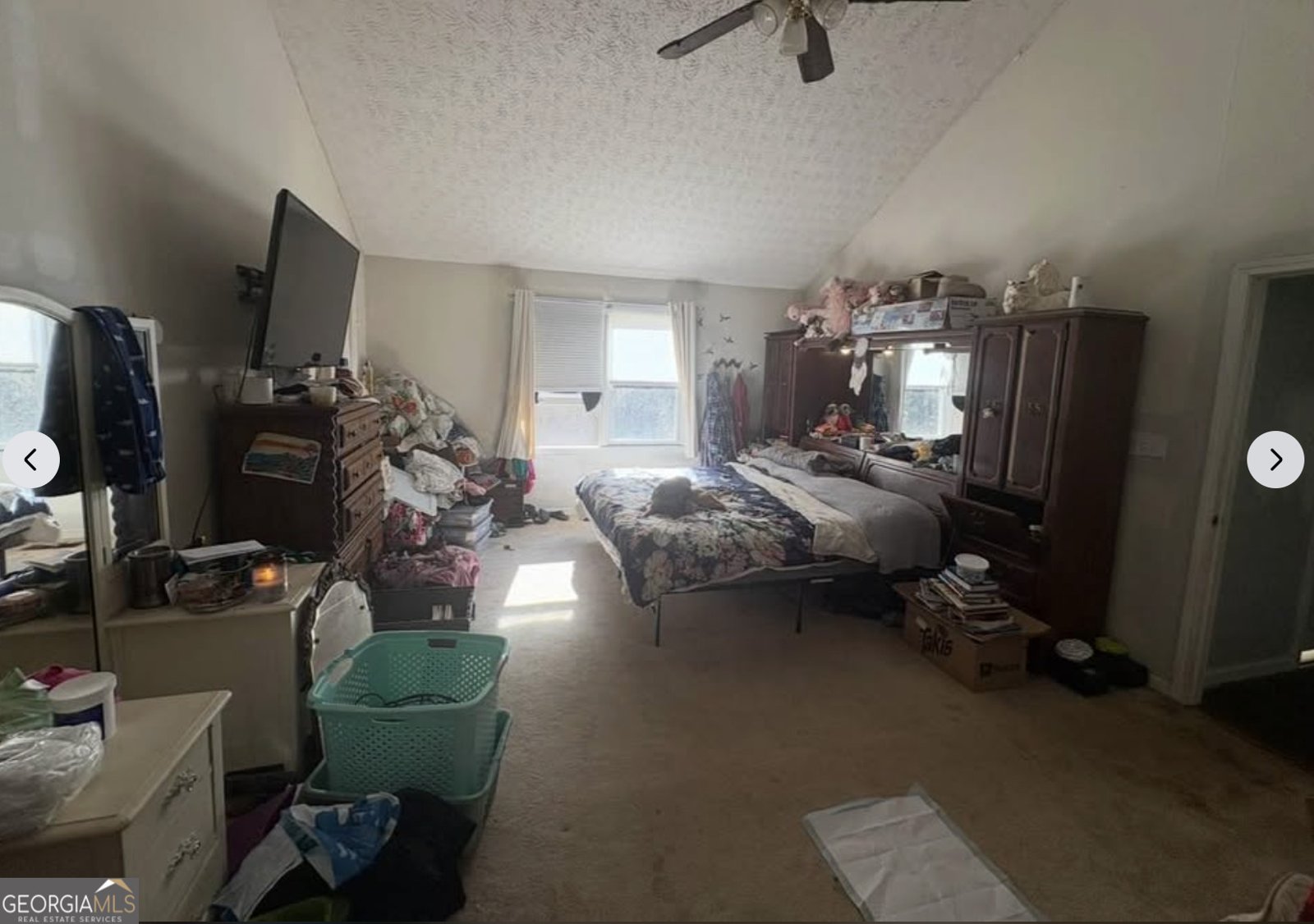 180 Labelle Road Villa Rica - Photo 8