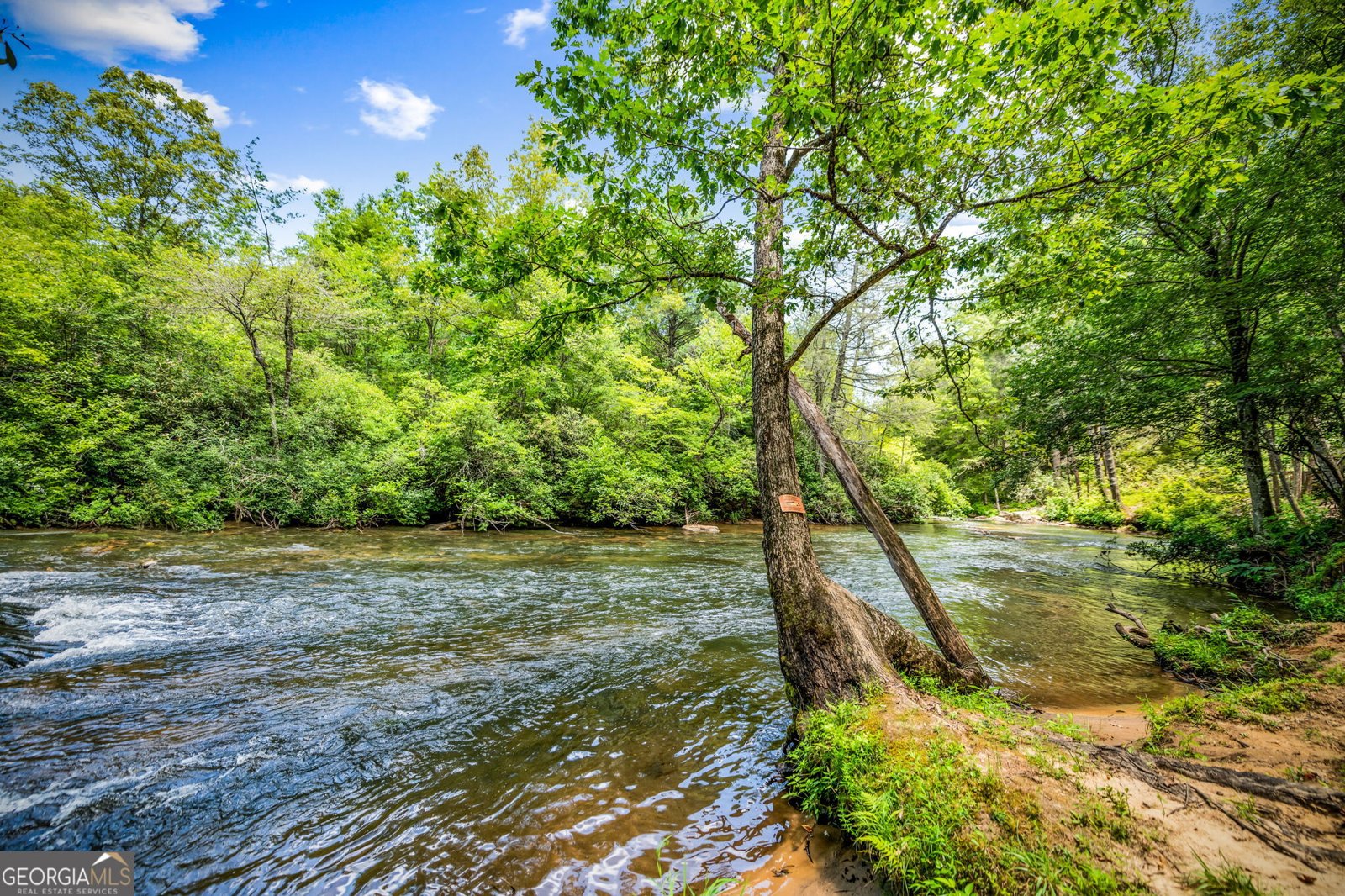 1082 Sunset Road Epworth - Photo 23