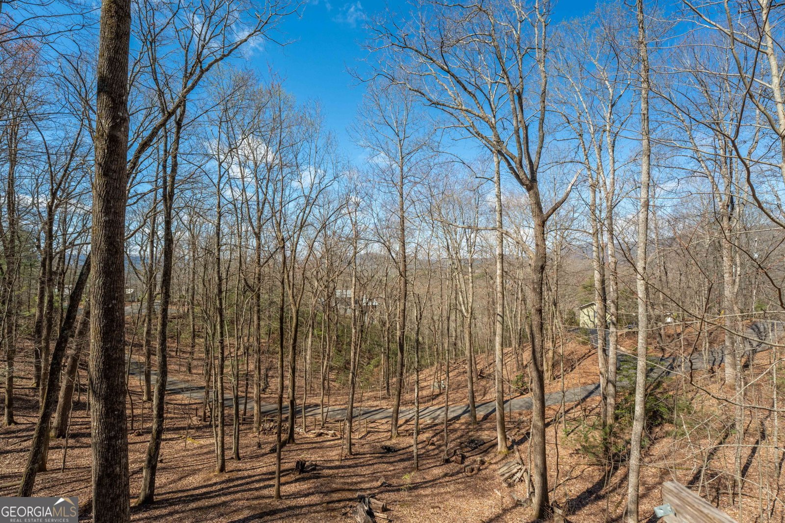 44 Juniper Trail Clayton - Photo 33