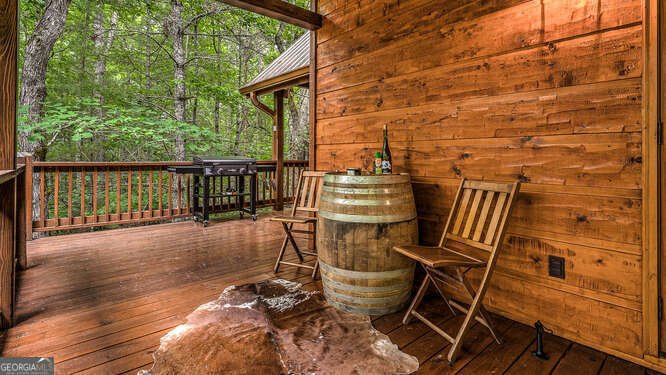 395 Mill Creek Acres Blue Ridge - Photo 10