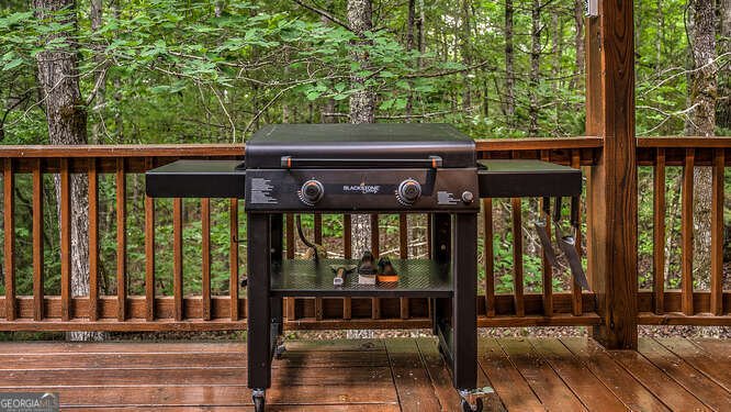 395 Mill Creek Acres Blue Ridge - Photo 8