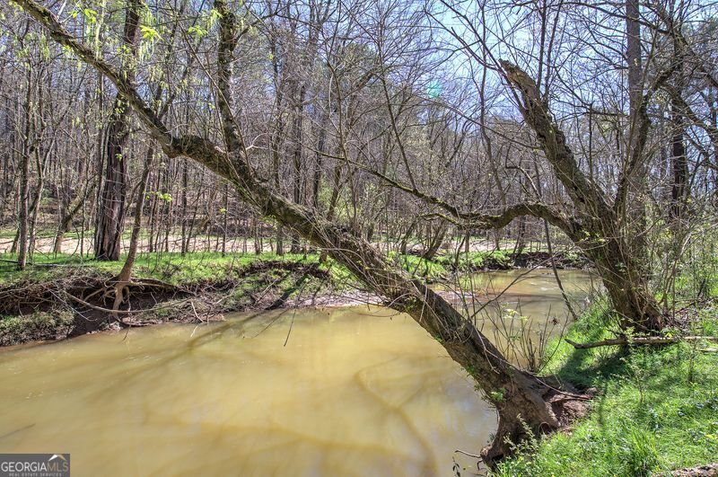 170 Parr Wade Road Cartersville - Photo 36