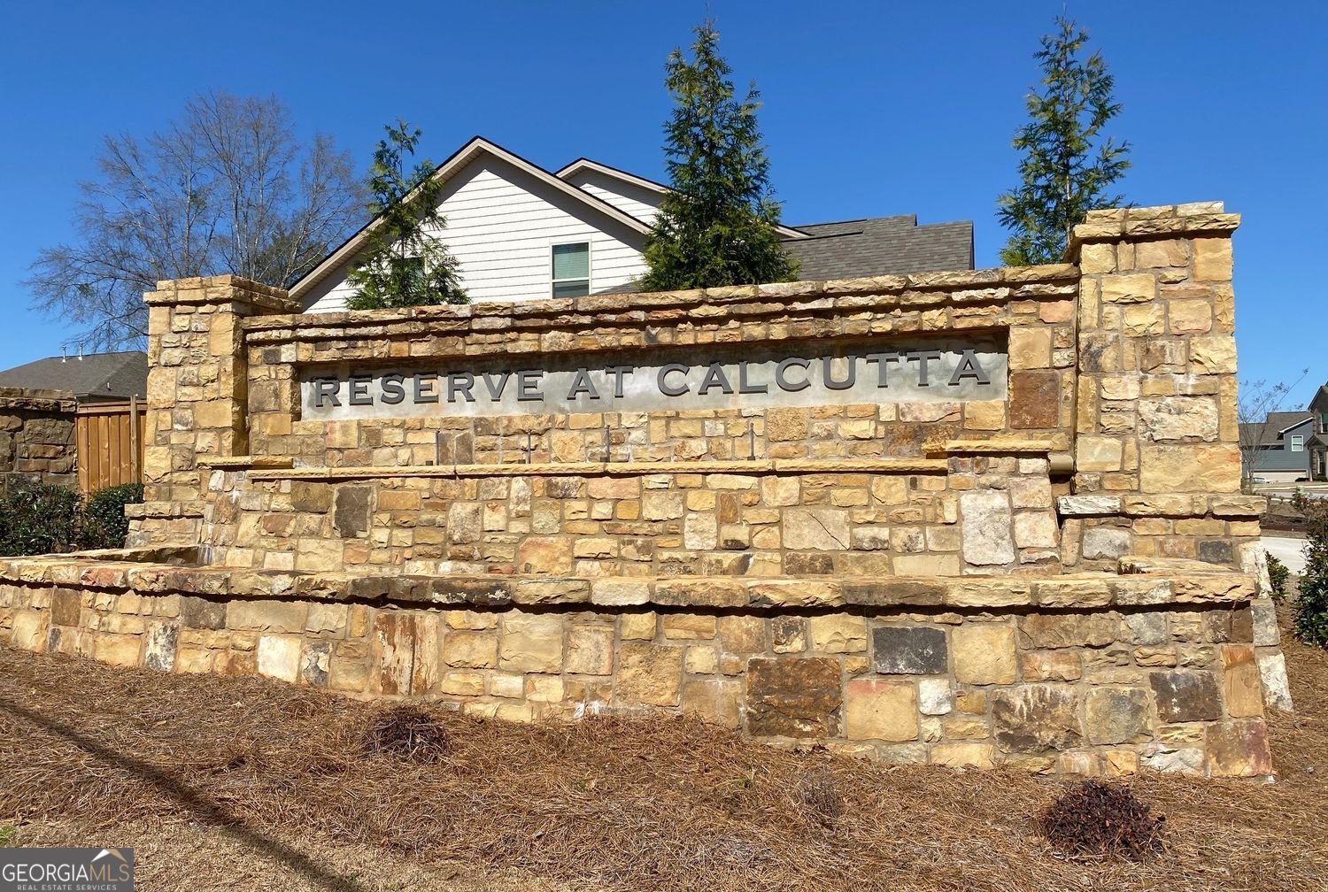 676 Whitman Lane Stockbridge - Photo 30