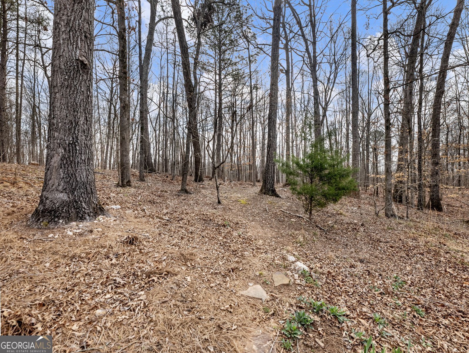 6147 Golf View Court Jefferson - Photo 59