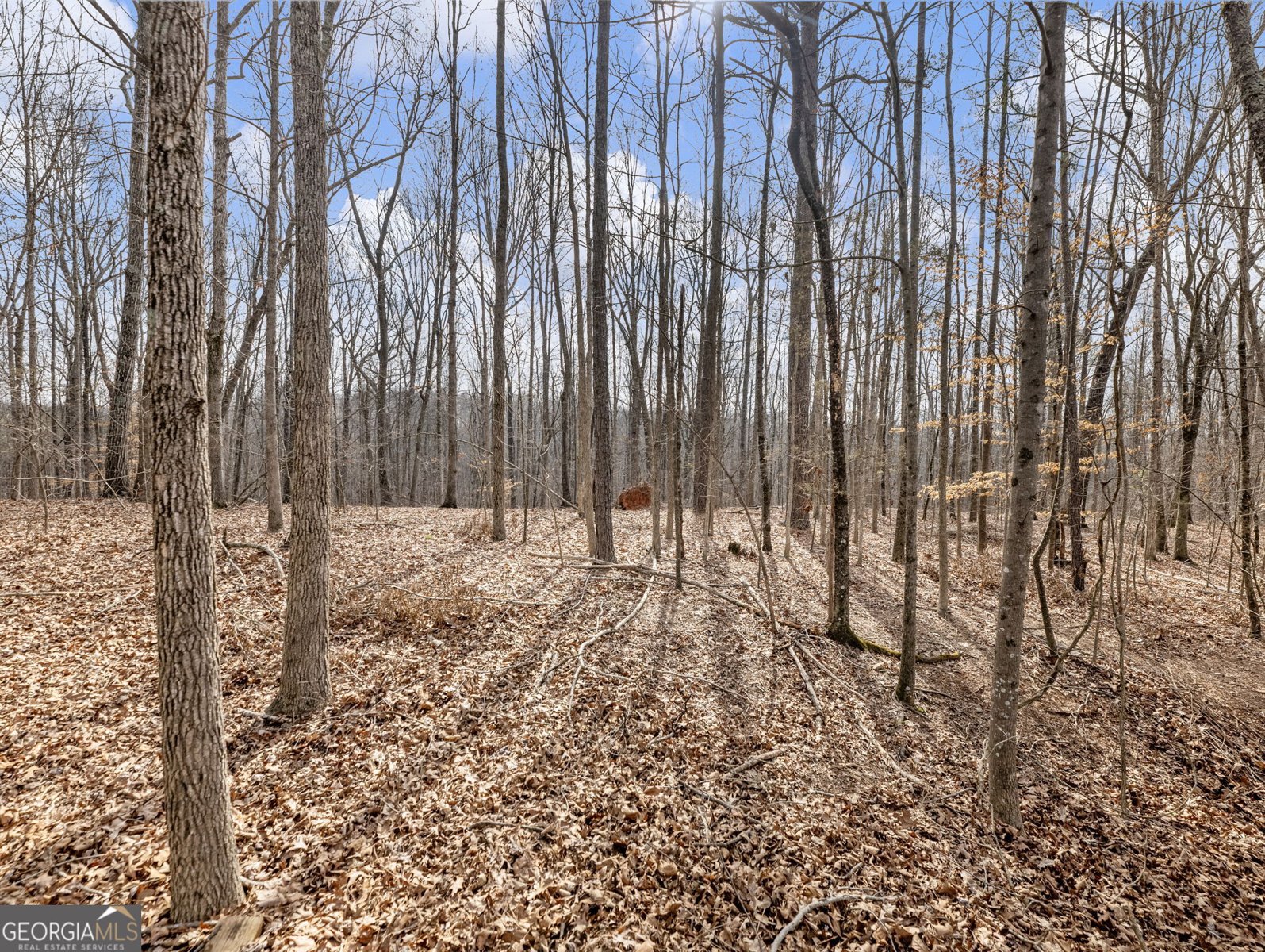 6147 Golf View Court Jefferson - Photo 60