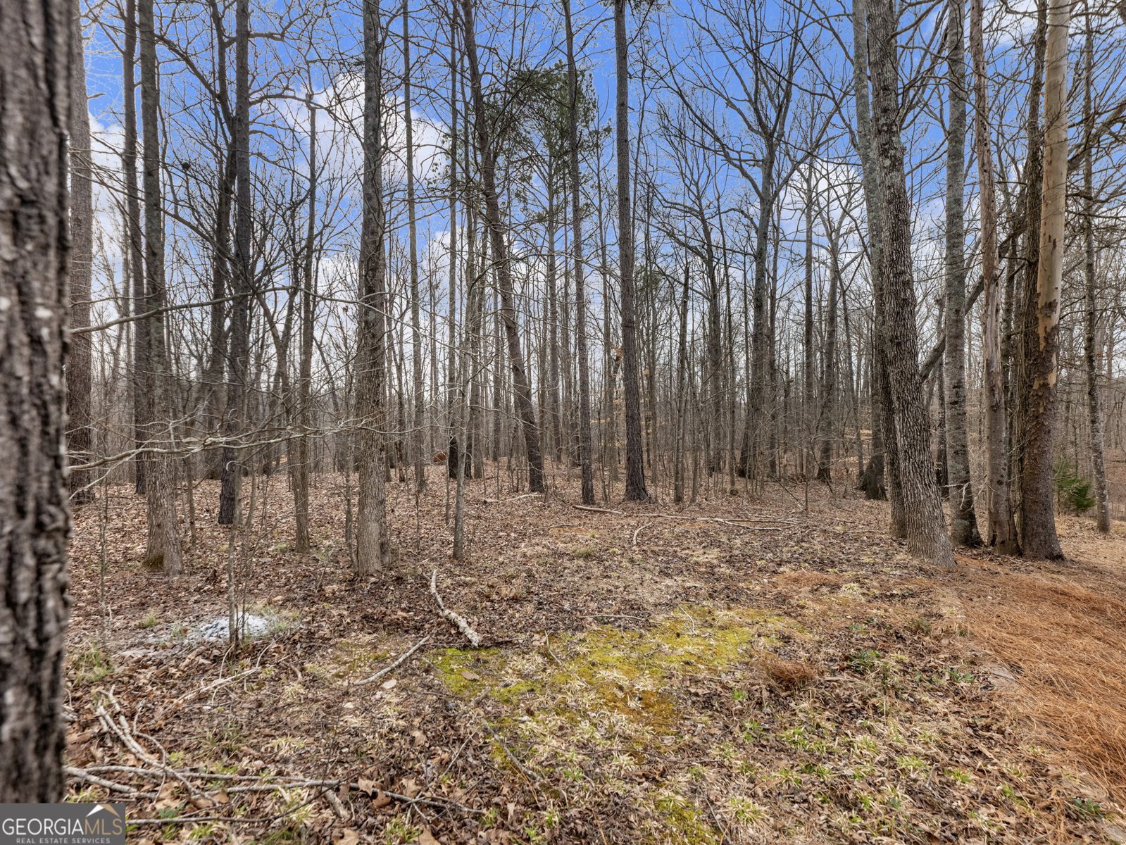 6147 Golf View Court Jefferson - Photo 61