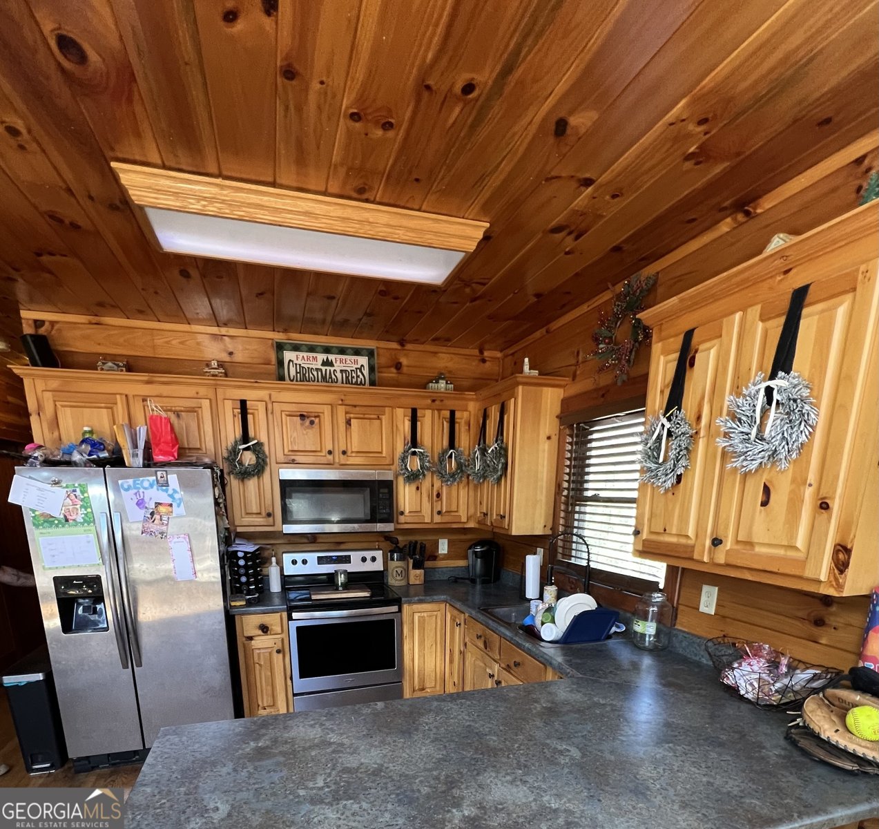 1032 White Owl Drive Elberton - Photo 16