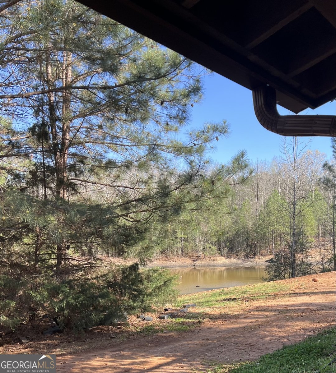 1032 White Owl Drive Elberton - Photo 22