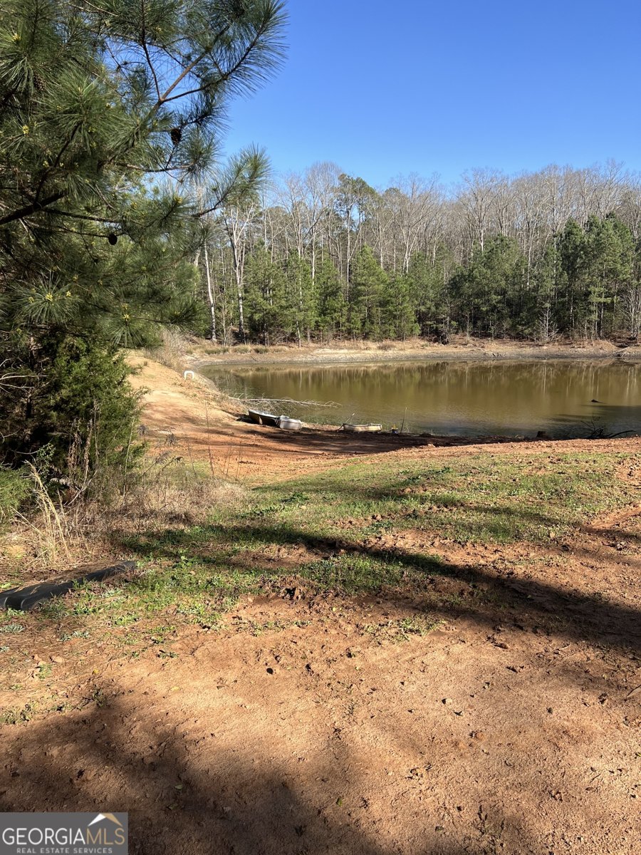 1032 White Owl Drive Elberton - Photo 23