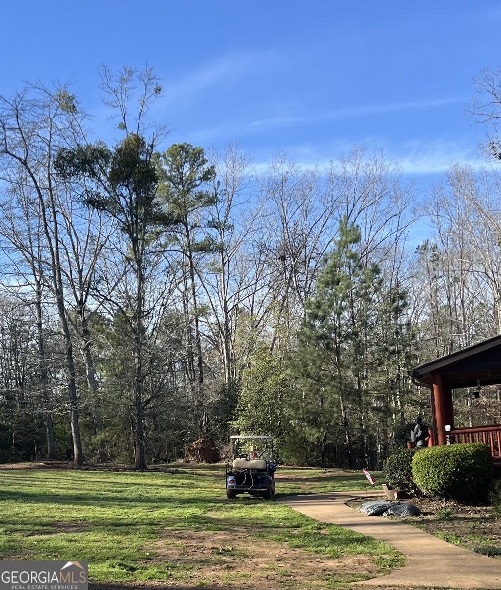 1032 White Owl Drive Elberton - Photo 33