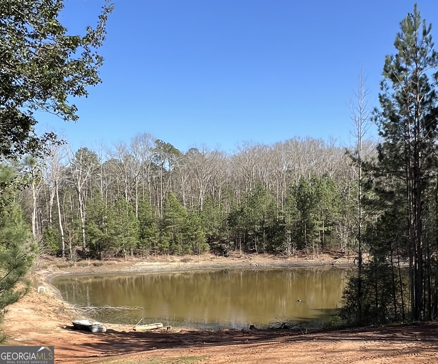 1032 White Owl Drive Elberton - Photo 6