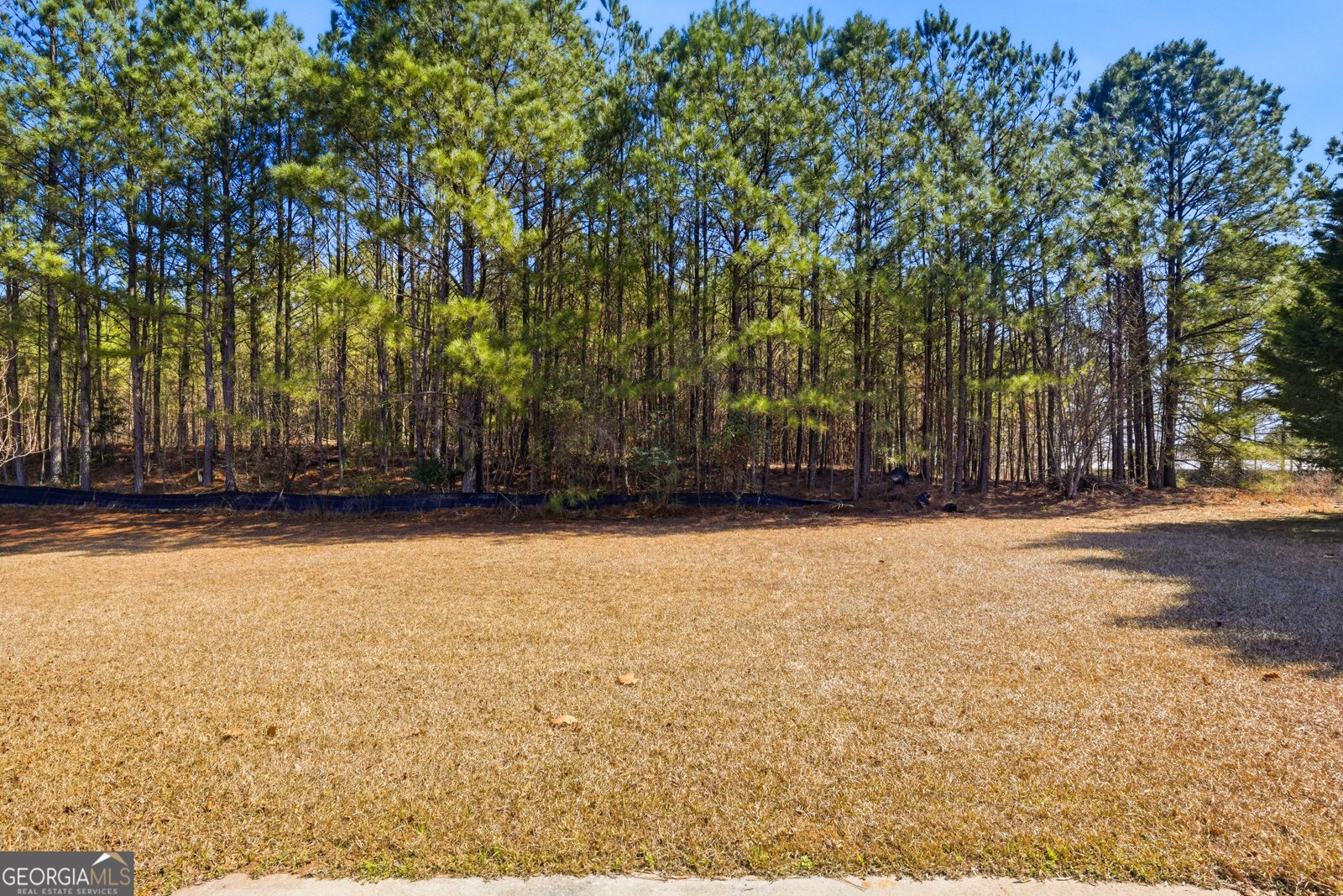 385 Registry Bluff Stone Mountain - Photo 30