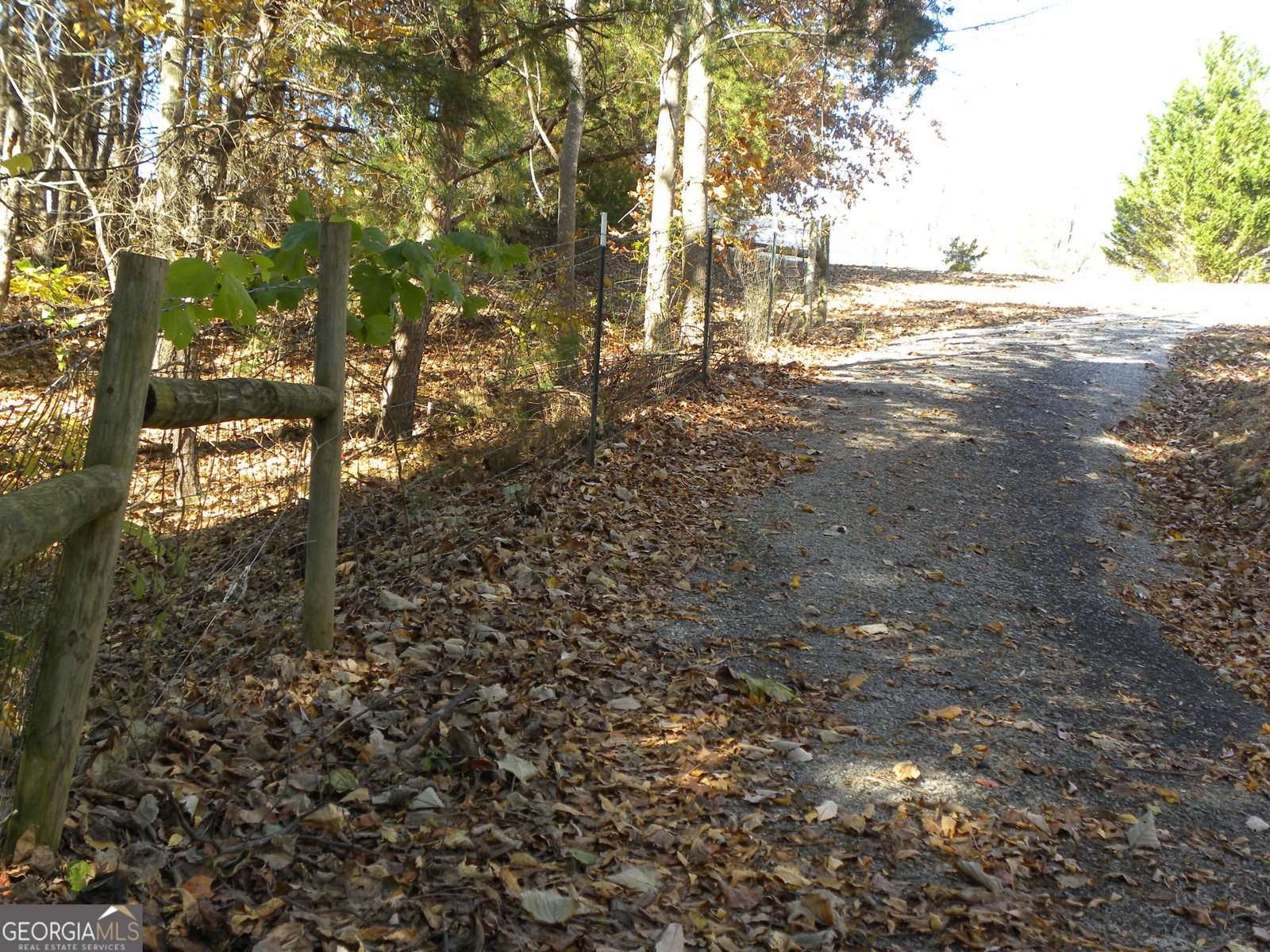 2484 Apple Pie Ridge Road Alto - Photo 101