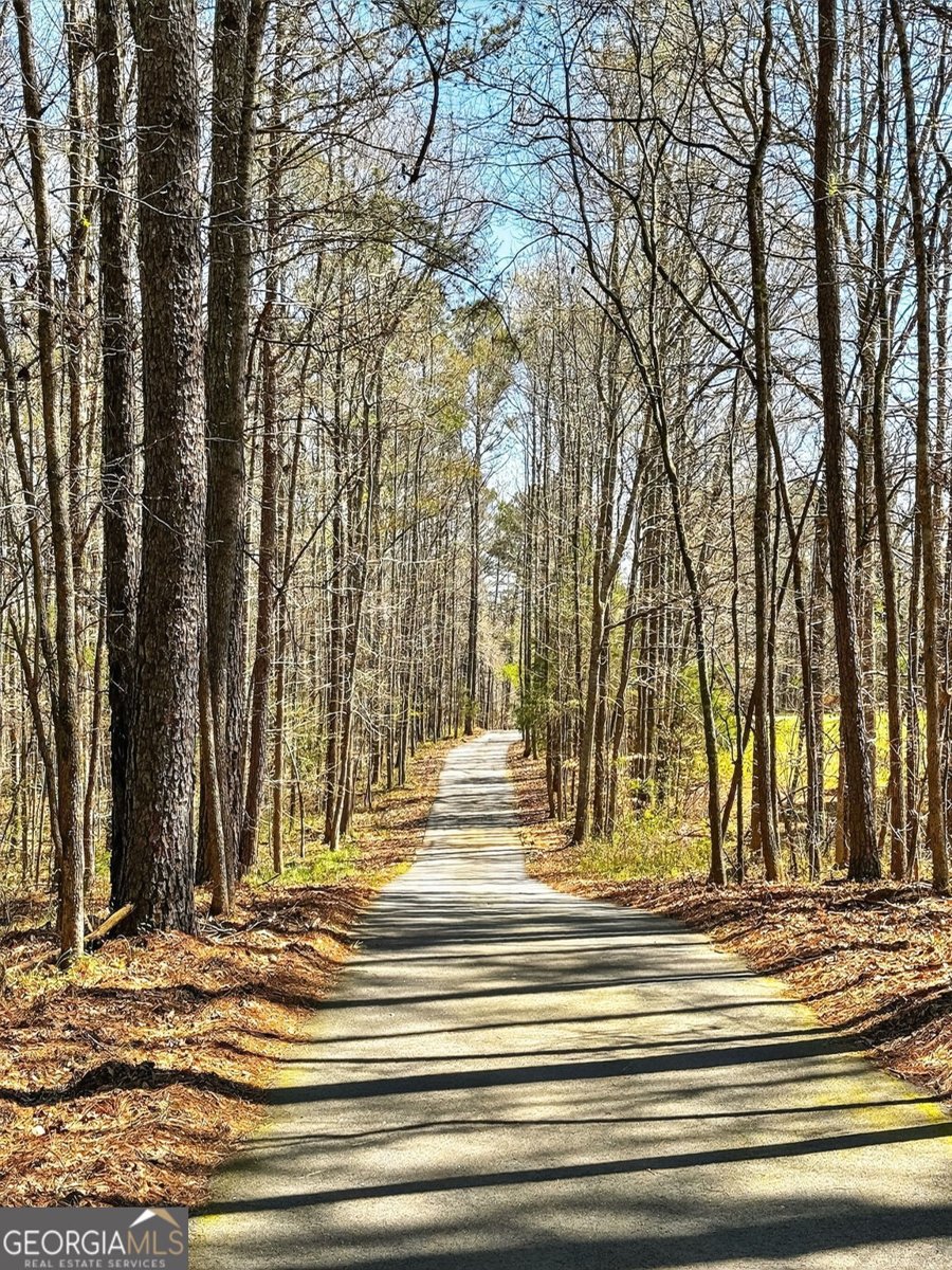 720 Lester Mill Road Locust Grove - Photo 73