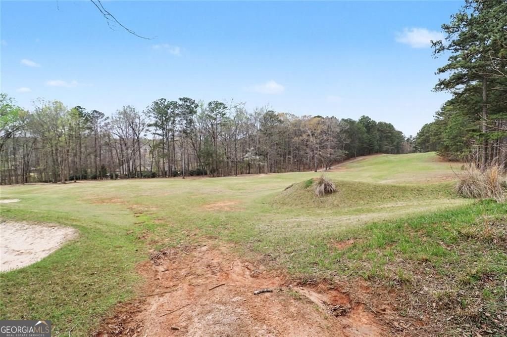 404 Arbor Springs Parkway Newnan - Photo 79