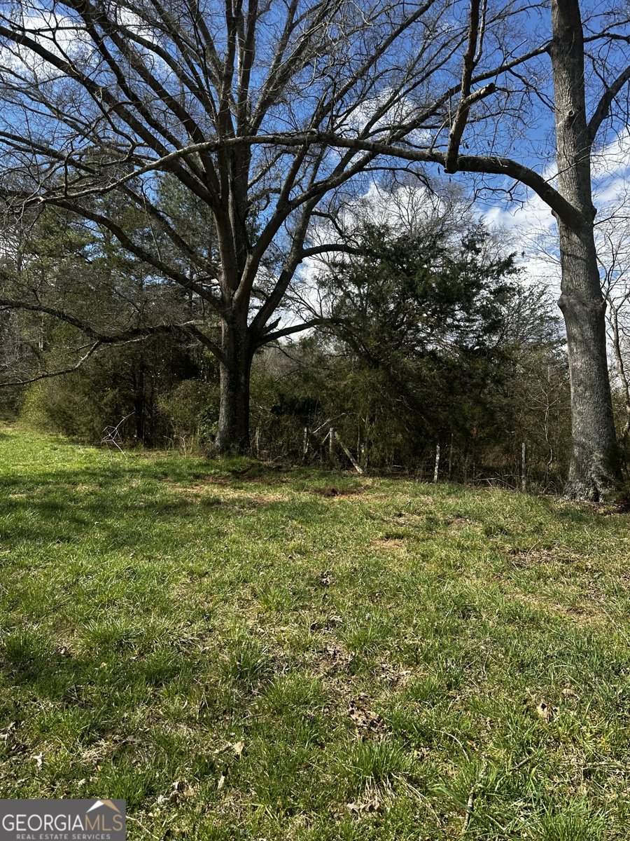 80 Potash Road Cedartown - Photo 11