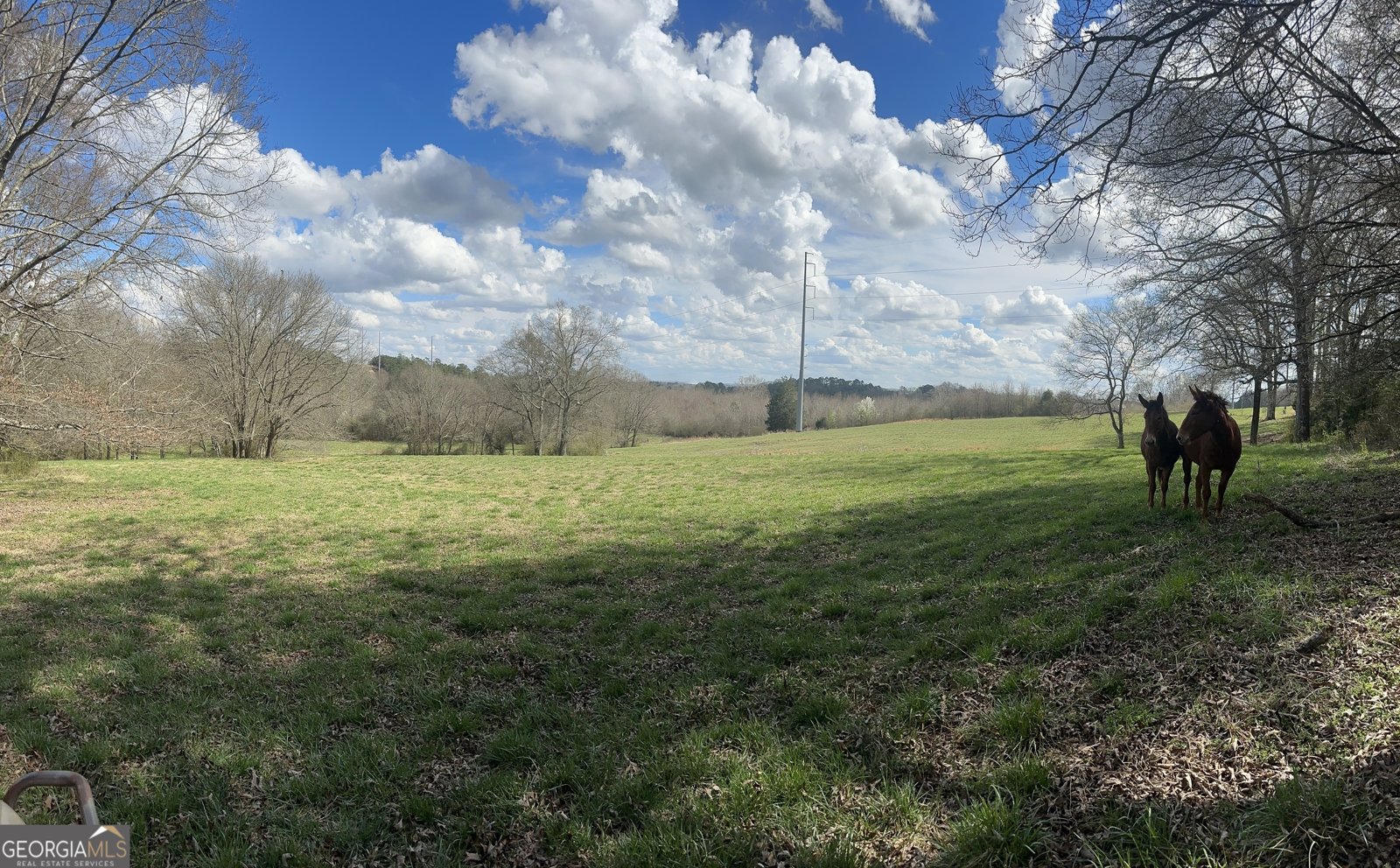 80 Potash Road Cedartown - Photo 12