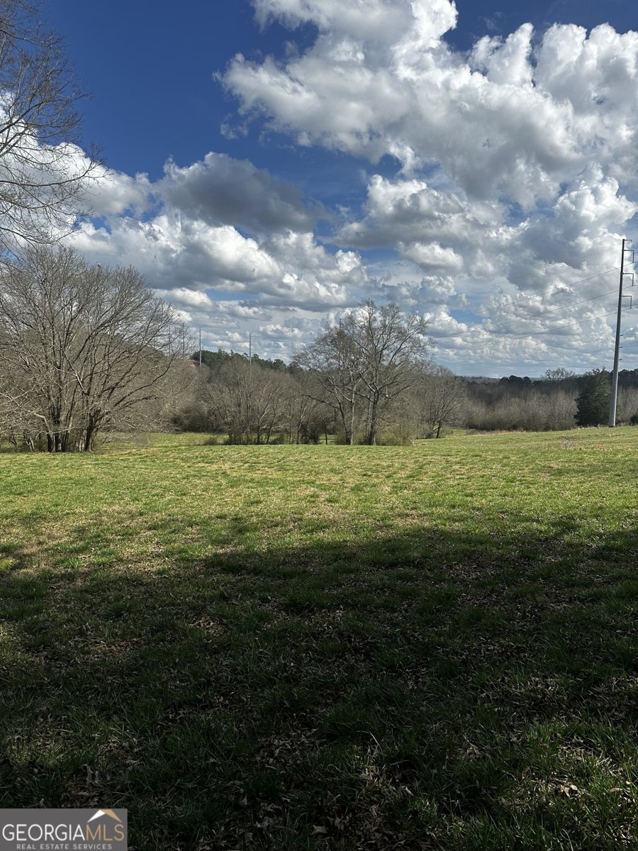 80 Potash Road Cedartown - Photo 13