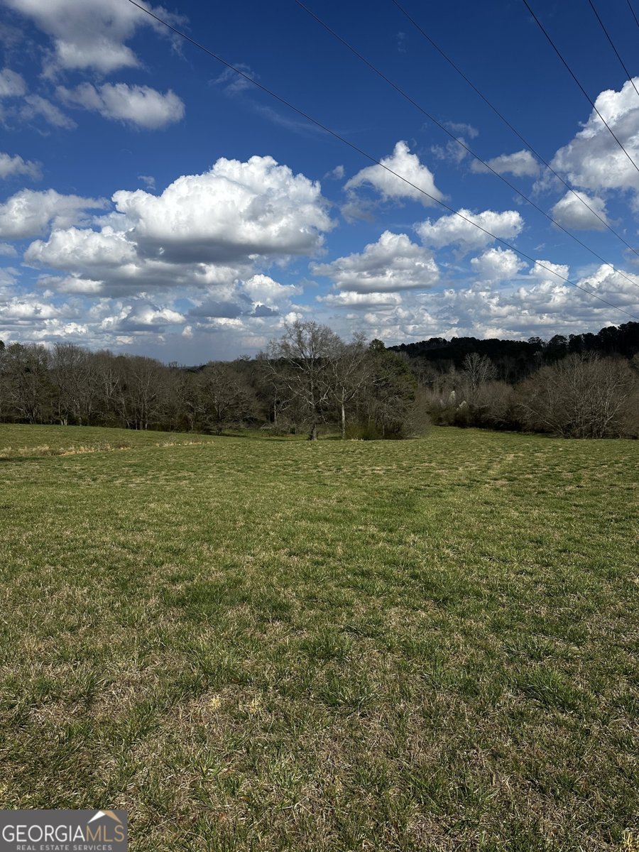 80 Potash Road Cedartown - Photo 14