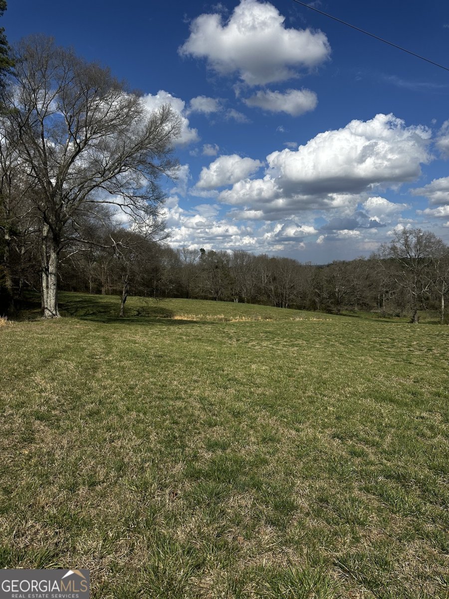 80 Potash Road Cedartown - Photo 15