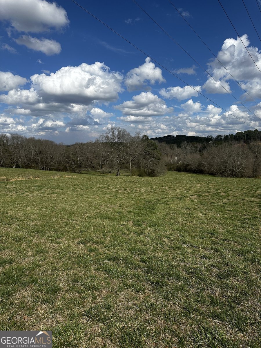 80 Potash Road Cedartown - Photo 16