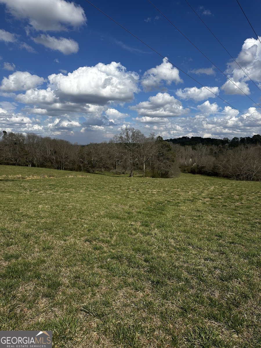 80 Potash Road Cedartown - Photo 17