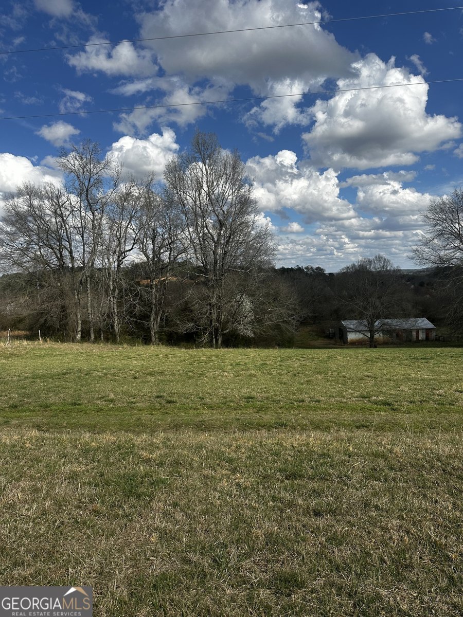 80 Potash Road Cedartown - Photo 21