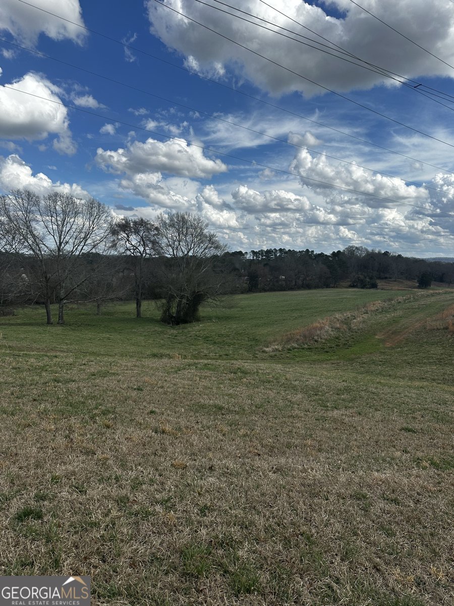 80 Potash Road Cedartown - Photo 26