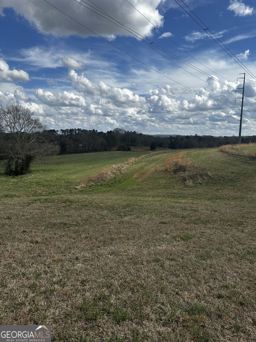 80 Potash Road Cedartown - Photo 29