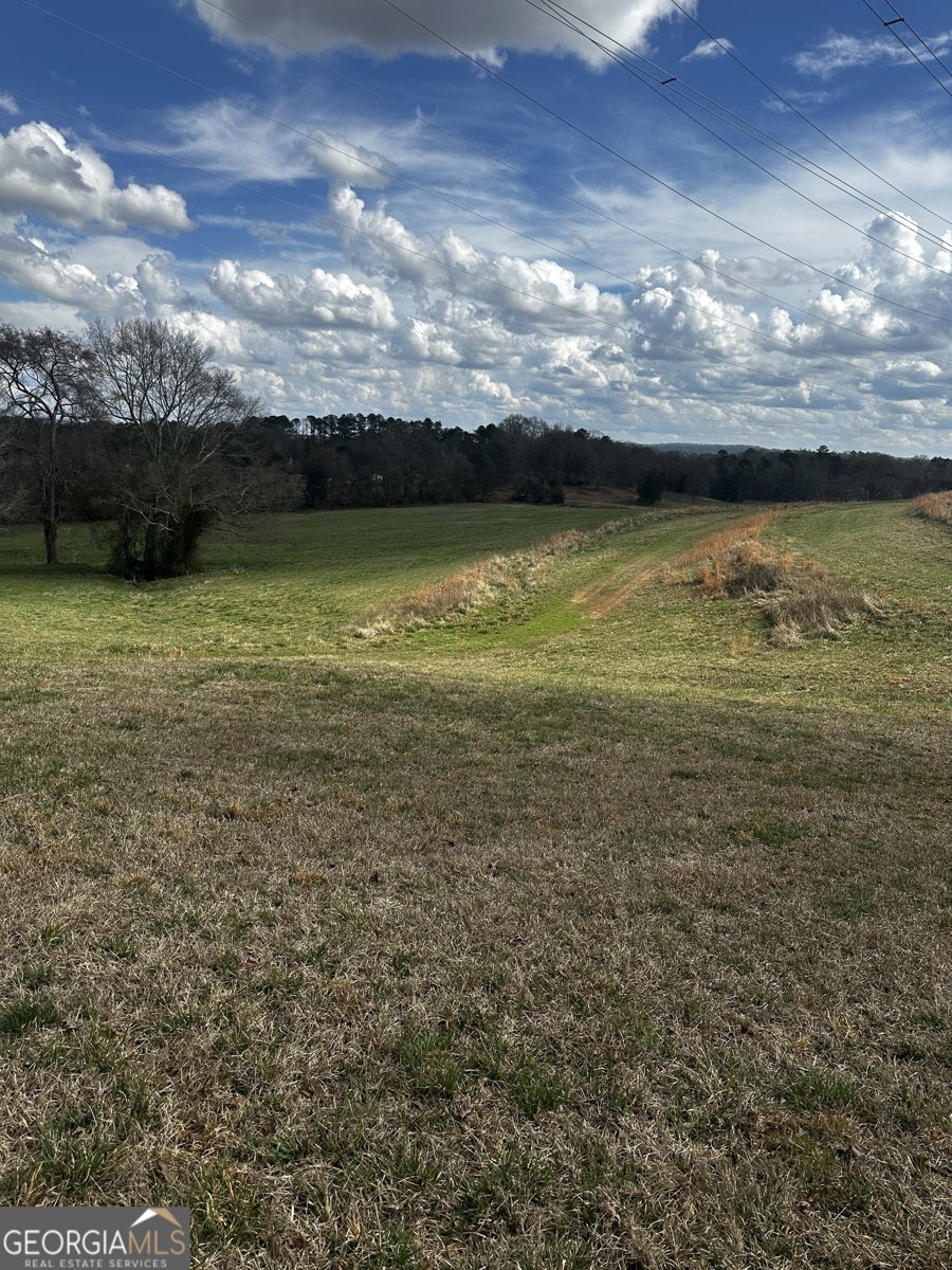 80 Potash Road Cedartown - Photo 30