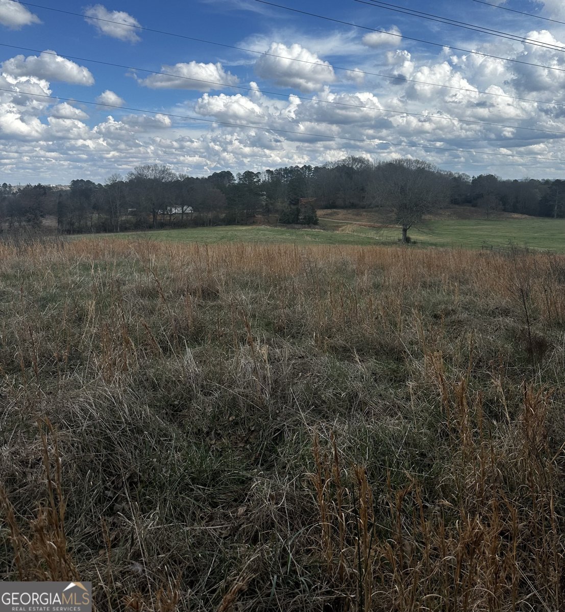 80 Potash Road Cedartown - Photo 31