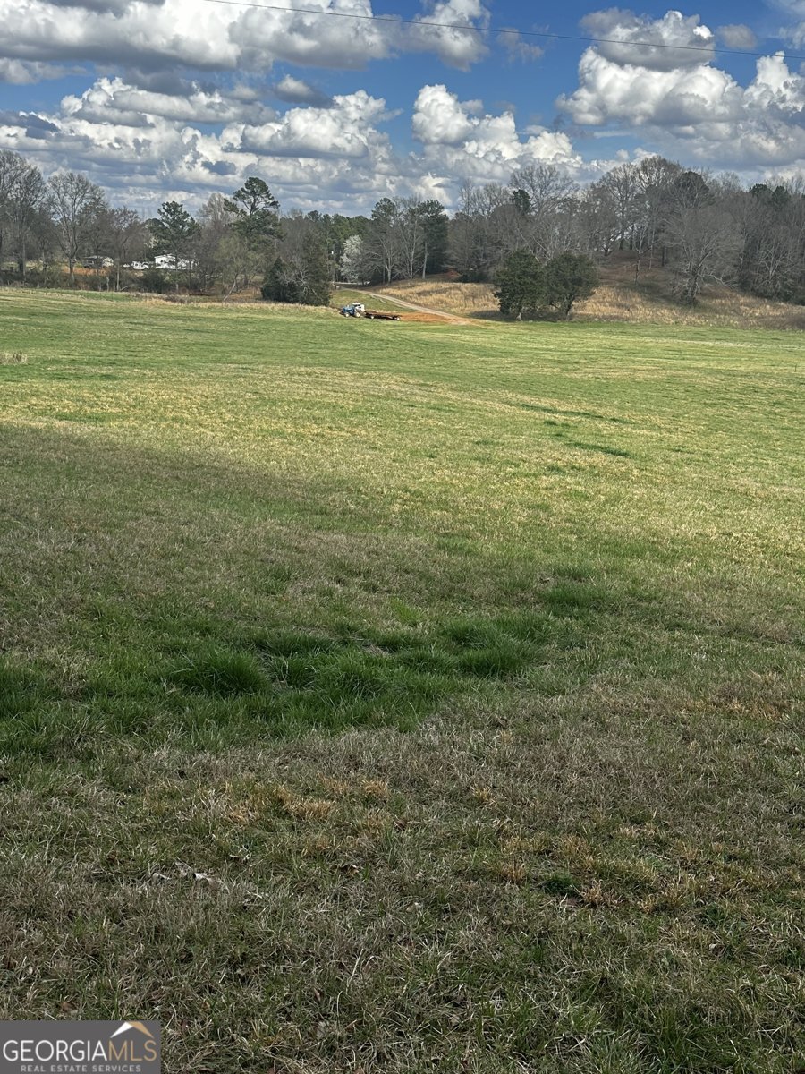 80 Potash Road Cedartown - Photo 36