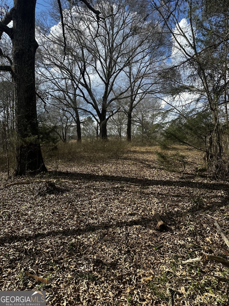 80 Potash Road Cedartown - Photo 41