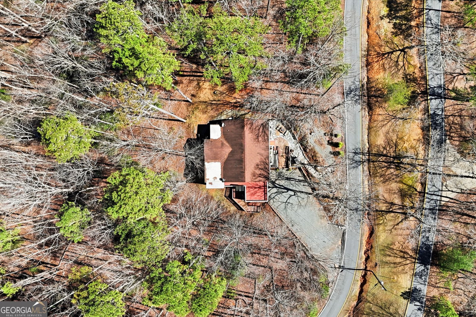 508 Lemmon Lane Ellijay - Photo 58