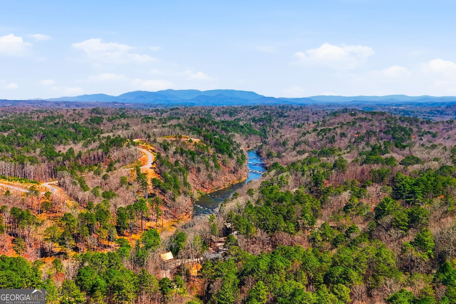 508 Lemmon Lane Ellijay - Photo 59