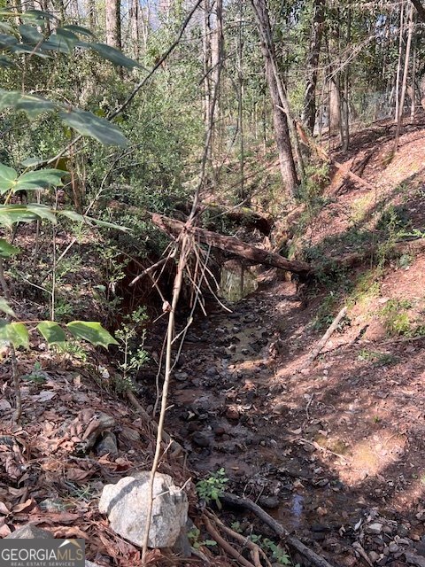 106 Fernbanks Court Athens - Photo 29